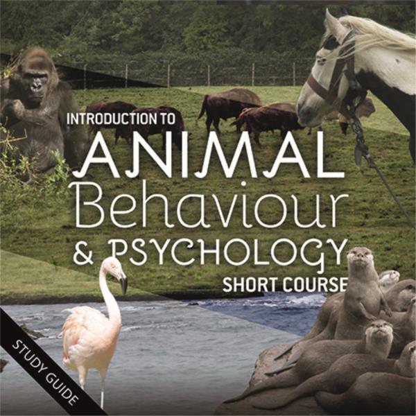 Animal Behaviour Online Courses | Animal Psychology e-learning