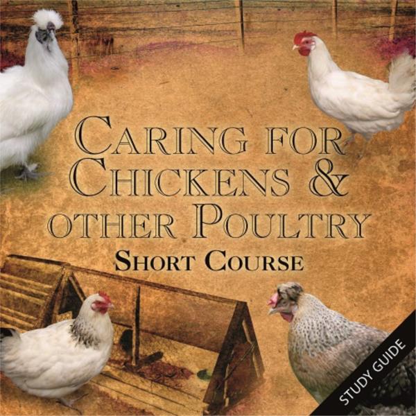 Caring for Chickens and Other Poultry - Short Course
