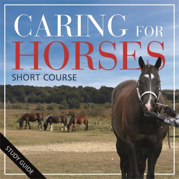 Caring for Horses- Short Course