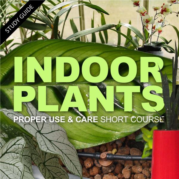 Indoor Plants- Short Course