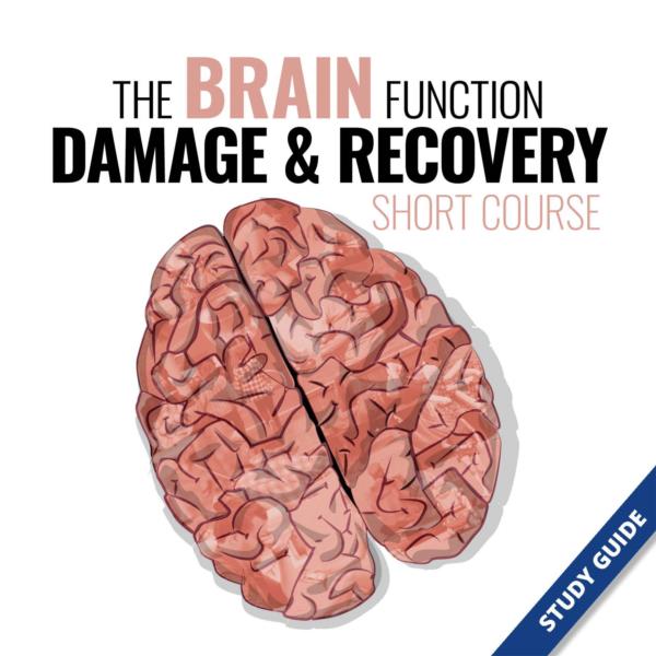 The Brain Function, Damage and Recovery- Short Course