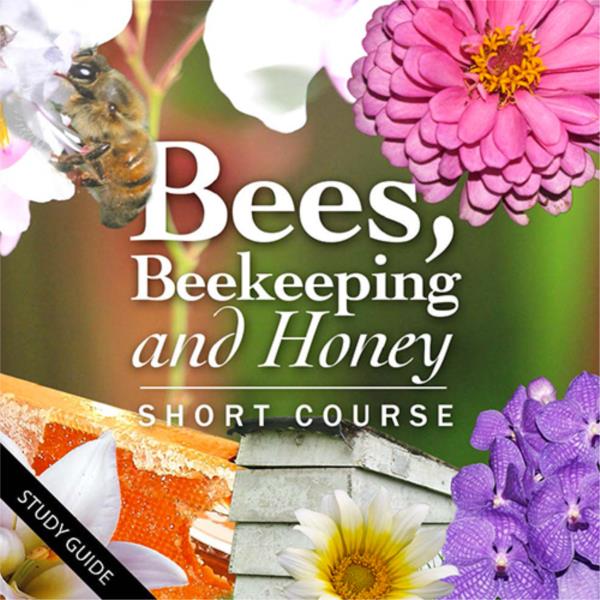 Bees, Beekeeping and Honey - Short Course