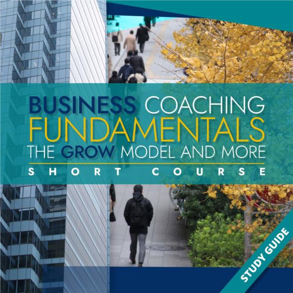 Business Coaching Fundamentals- Short Course