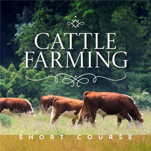 Cattle Farming - Short Course