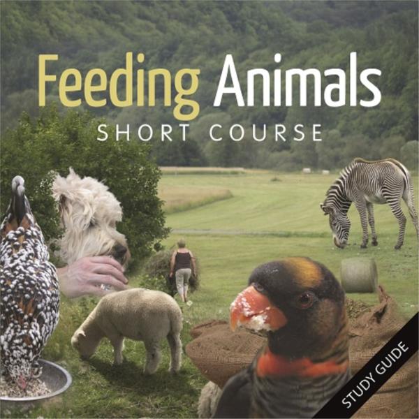 Feeding Animals- Short Course