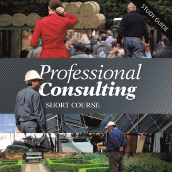 Professional Consulting- Short Course