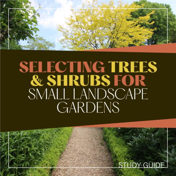 Selecting Trees and Shrubs for Small Spaces - Short Course 