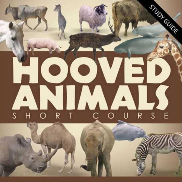 Hooved Animals- Short Course